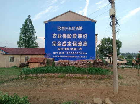 遂宁墙体广告为何受追捧？